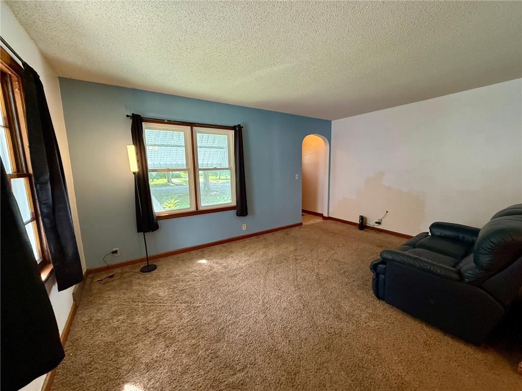 705 N Carver Street Winthrop MN 55396 6773930 image6