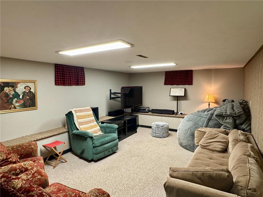 705 S 12th Street Olivia MN 56277 6766547 image20