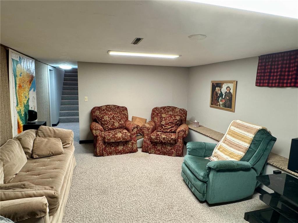 705 S 12th Street Olivia MN 56277 6766547 image21