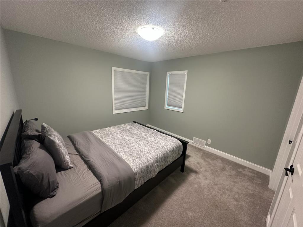 705 Tyler Street NE Minneapolis MN 55413 7042946 image5