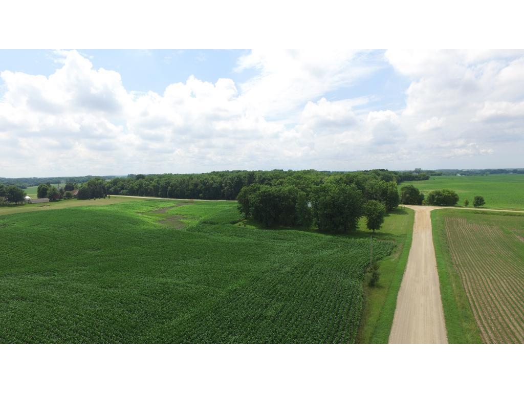 705th Ave, Dassel, MN 55325 MLS 5754308 Edina Realty