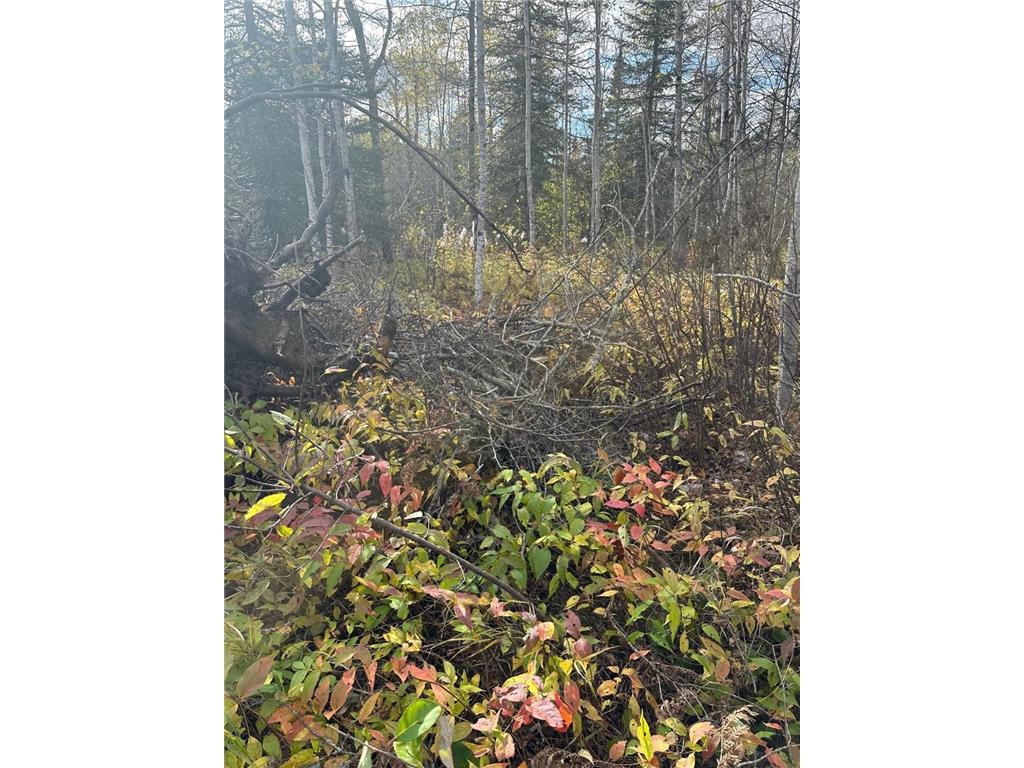 7064 Cramer Road Crystal Bay Twp MN 55603 7068348 image9