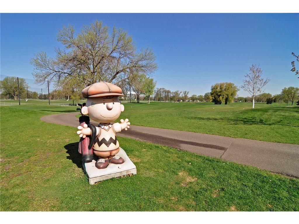 707 Hamline Avenue S Saint Paul MN 55116 7062305 image42