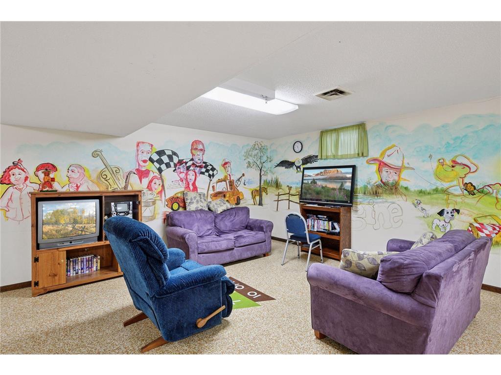 708 Chestnut Street Arlington MN 55307 6790381 image22