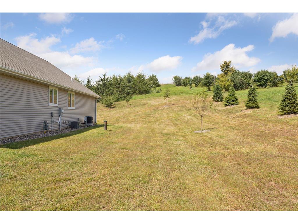 708 Mojo Trail Hudson WI 54016 6822824 image45