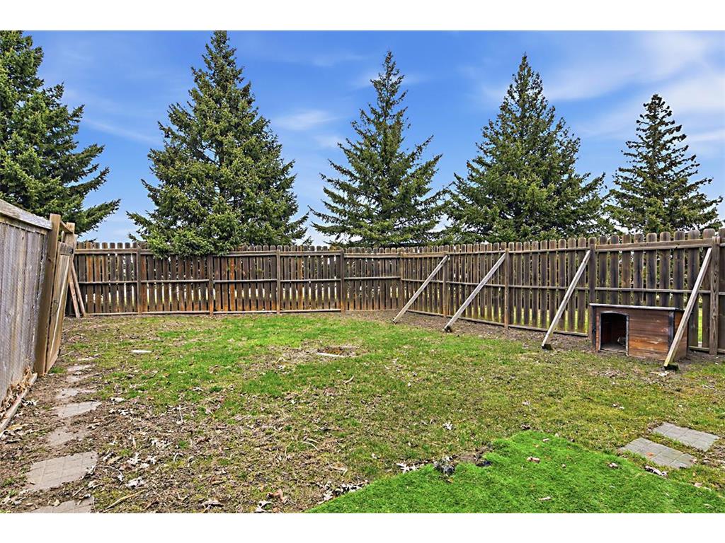 70832 280th Street Beaver Falls Twp MN 56283 7048419 image53
