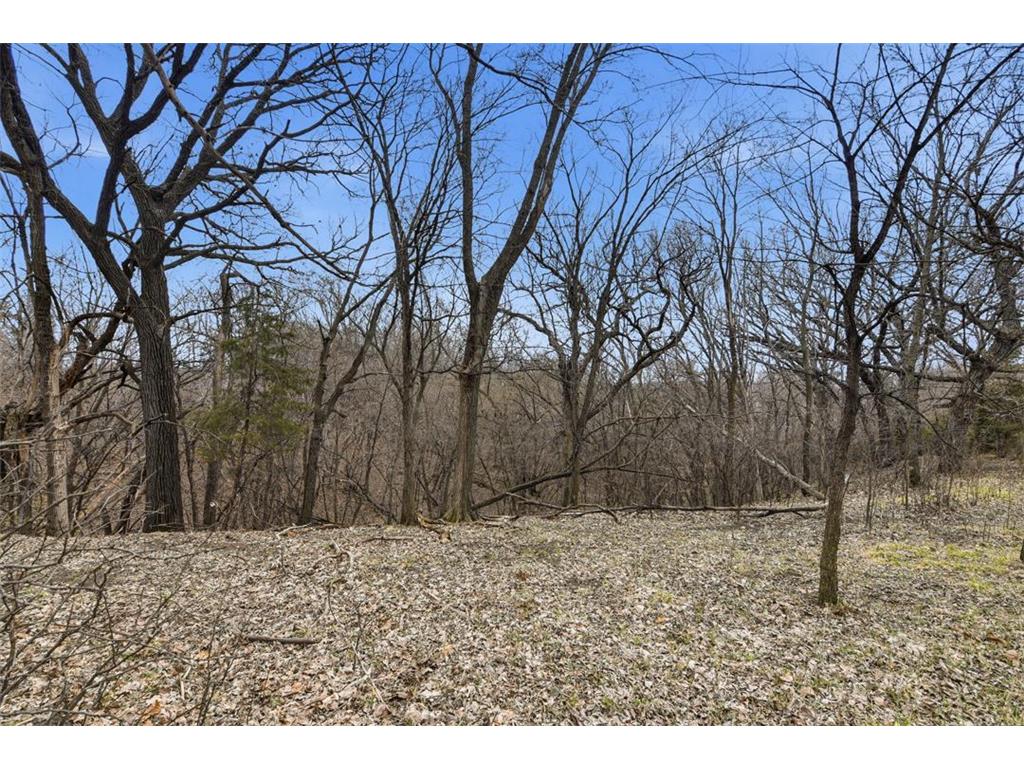 70832 280th Street Beaver Falls Twp MN 56283 7048419 image60