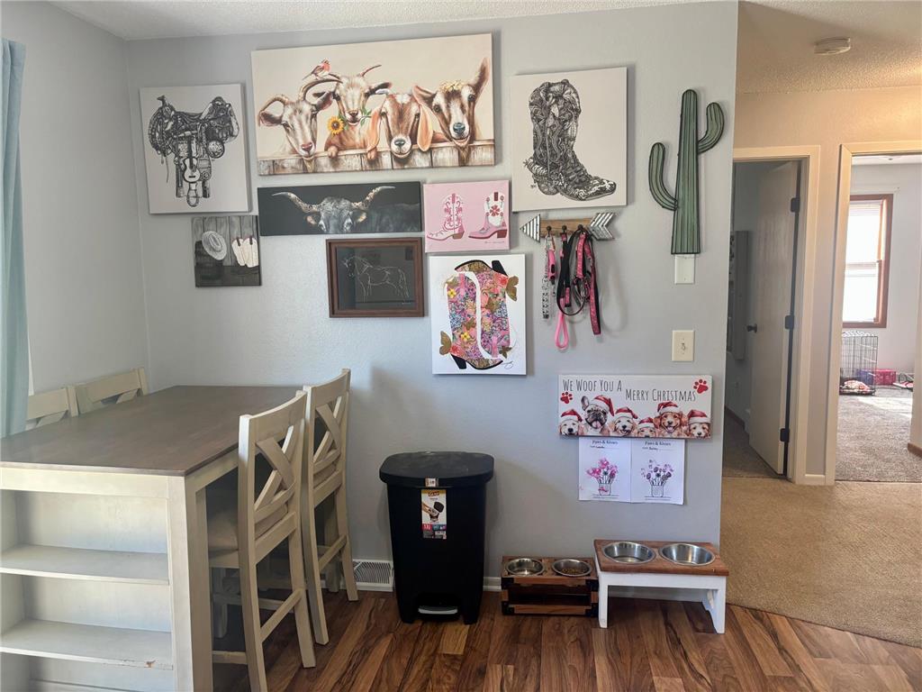 709 6th Avenue NE Sleepy Eye MN 56085 6803201 image11