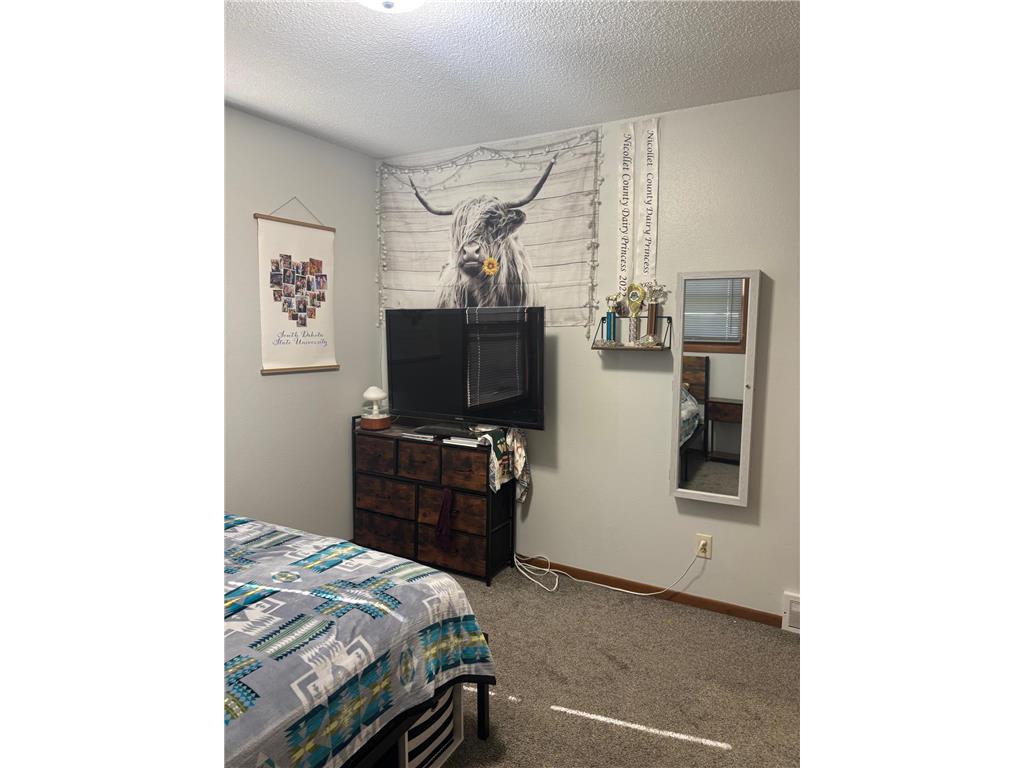 709 6th Avenue NE Sleepy Eye MN 56085 6803201 image13