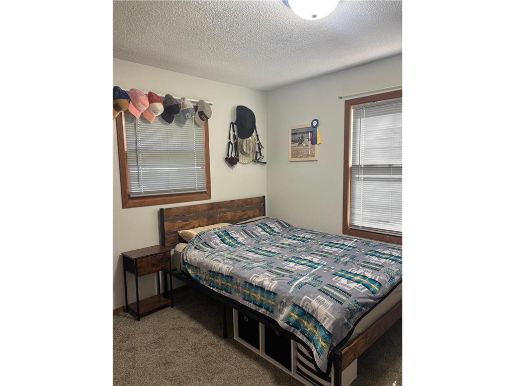 709 6th Avenue NE Sleepy Eye MN 56085 6803201 image14
