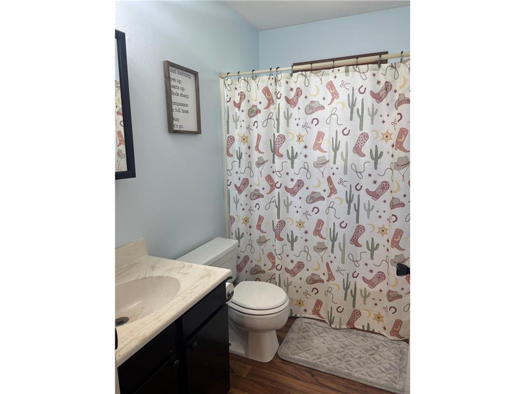 709 6th Avenue NE Sleepy Eye MN 56085 6803201 image15