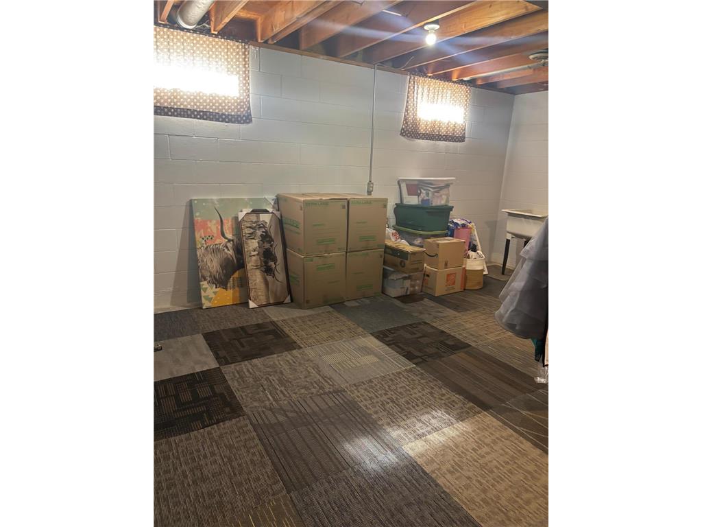 709 6th Avenue NE Sleepy Eye MN 56085 6803201 image19