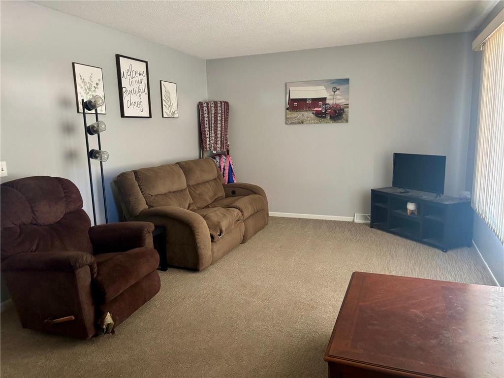 709 6th Avenue NE Sleepy Eye MN 56085 6803201 image7