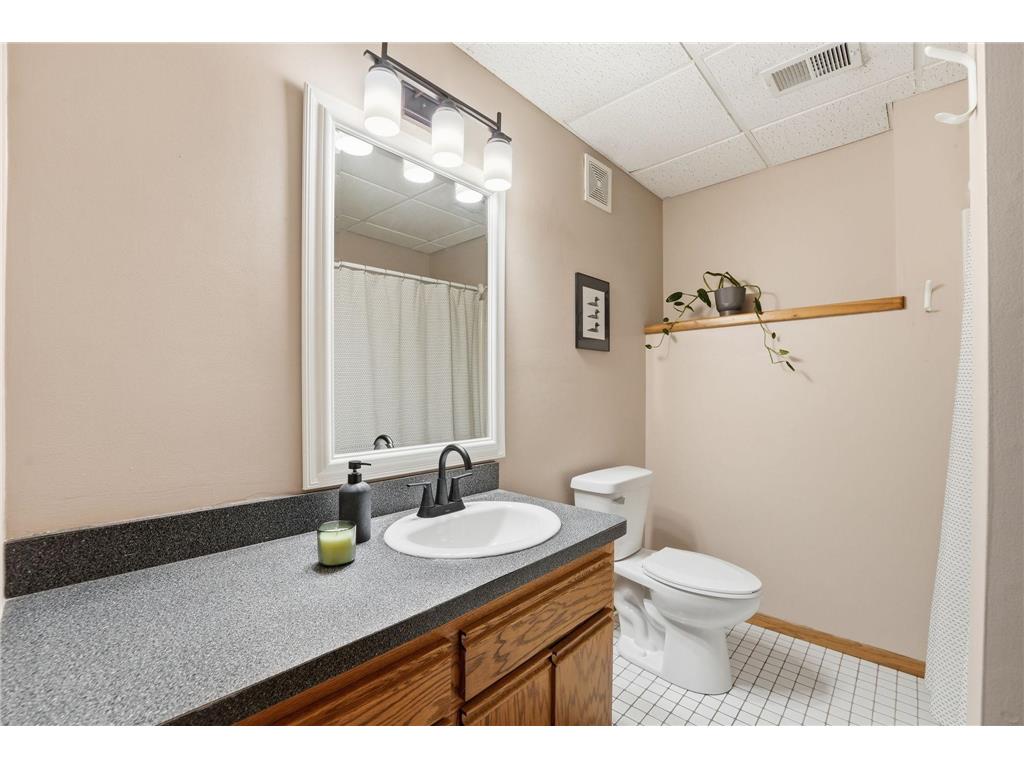 709 Northwood Drive Delano MN 55328 7081239 image21