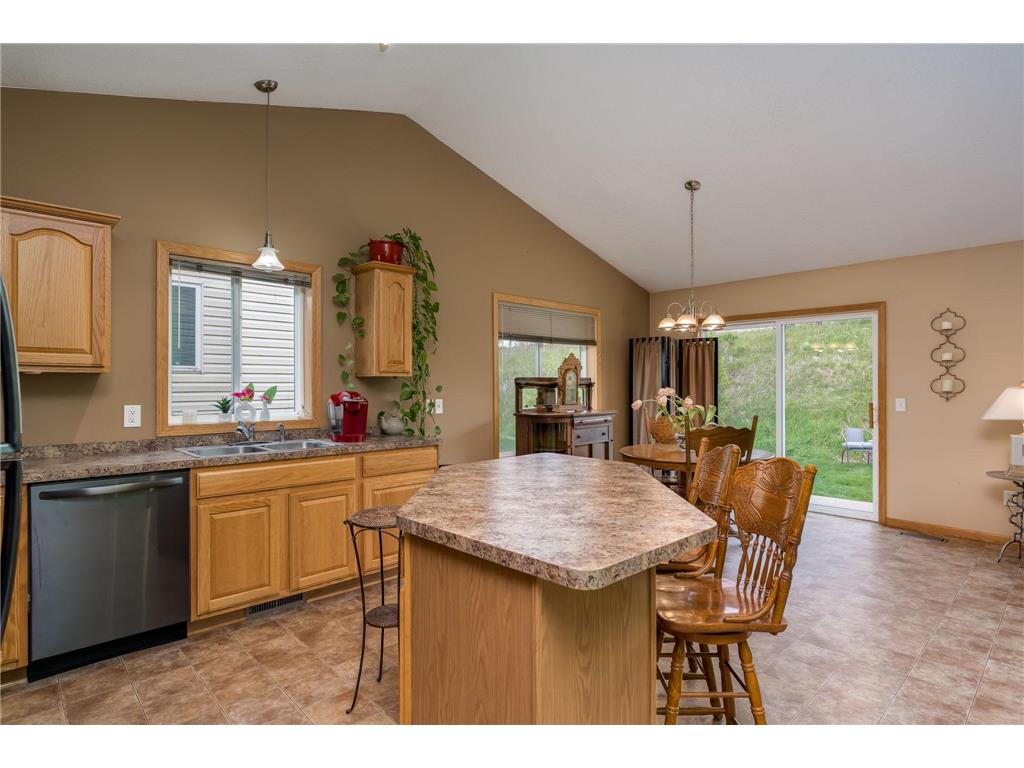 709 Tomahawk Court Madison Lake MN 56063 7069138 image4