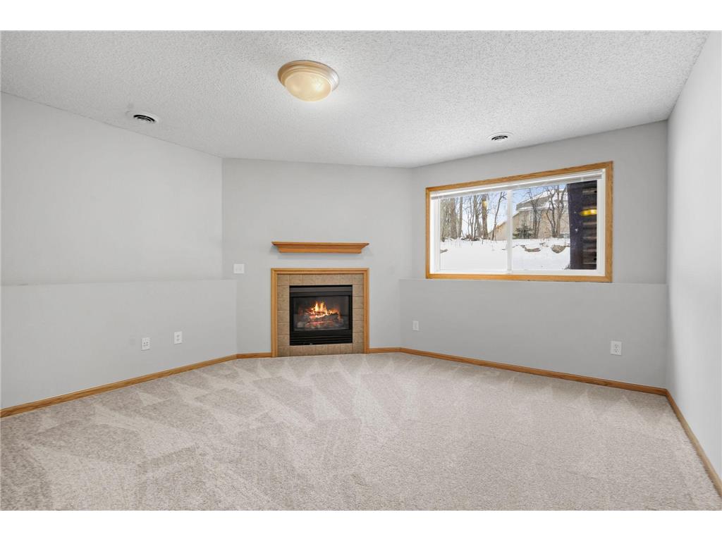 7093 Peony Lane N Maple Grove MN 55311 7024620 image28