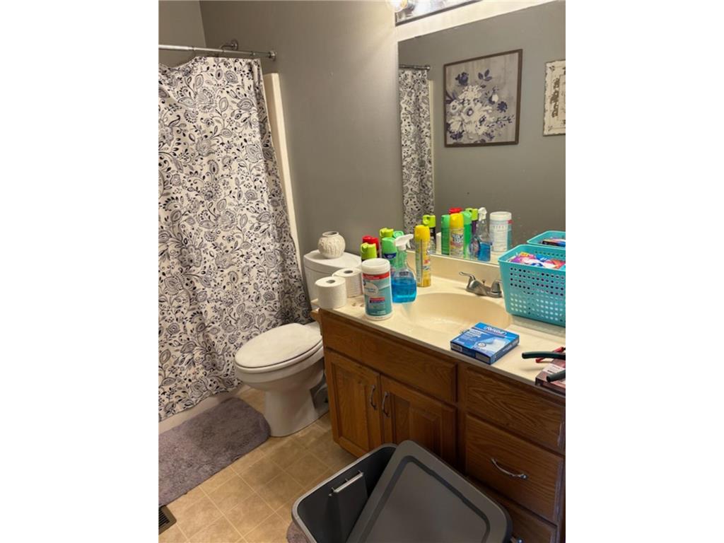 710 10th Street SW Pine Island MN 55963 6807876 image4