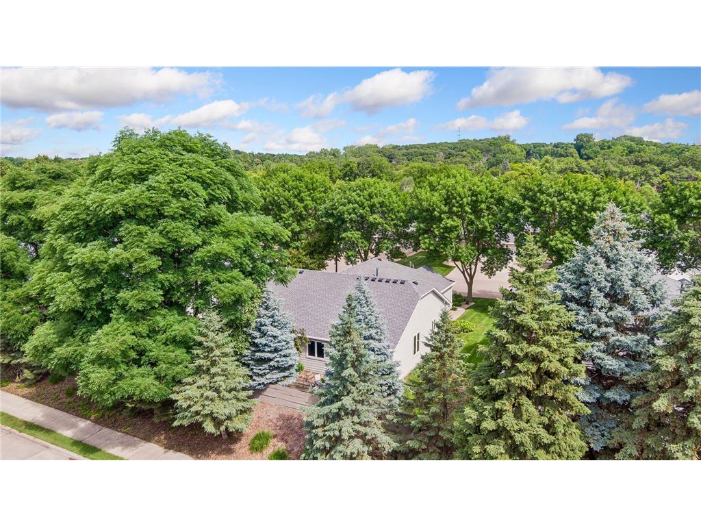 710 Emerald Ridge Roseville MN 55113 7090582 image5