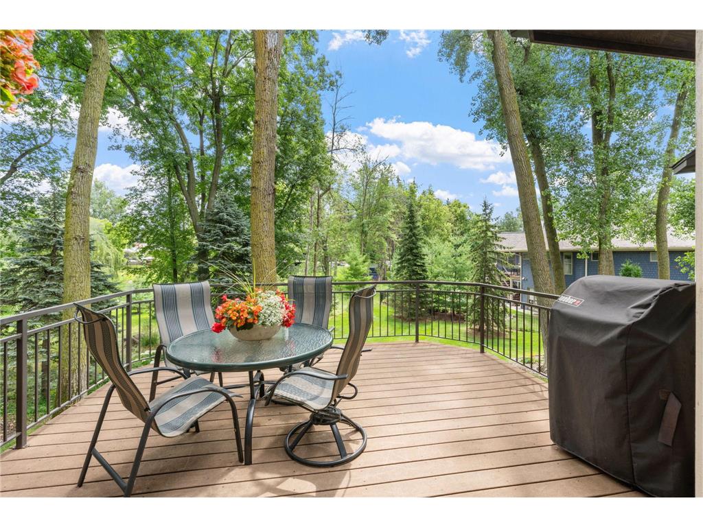 710 Shadyview Lane N Plymouth MN 55447 7101226 image65