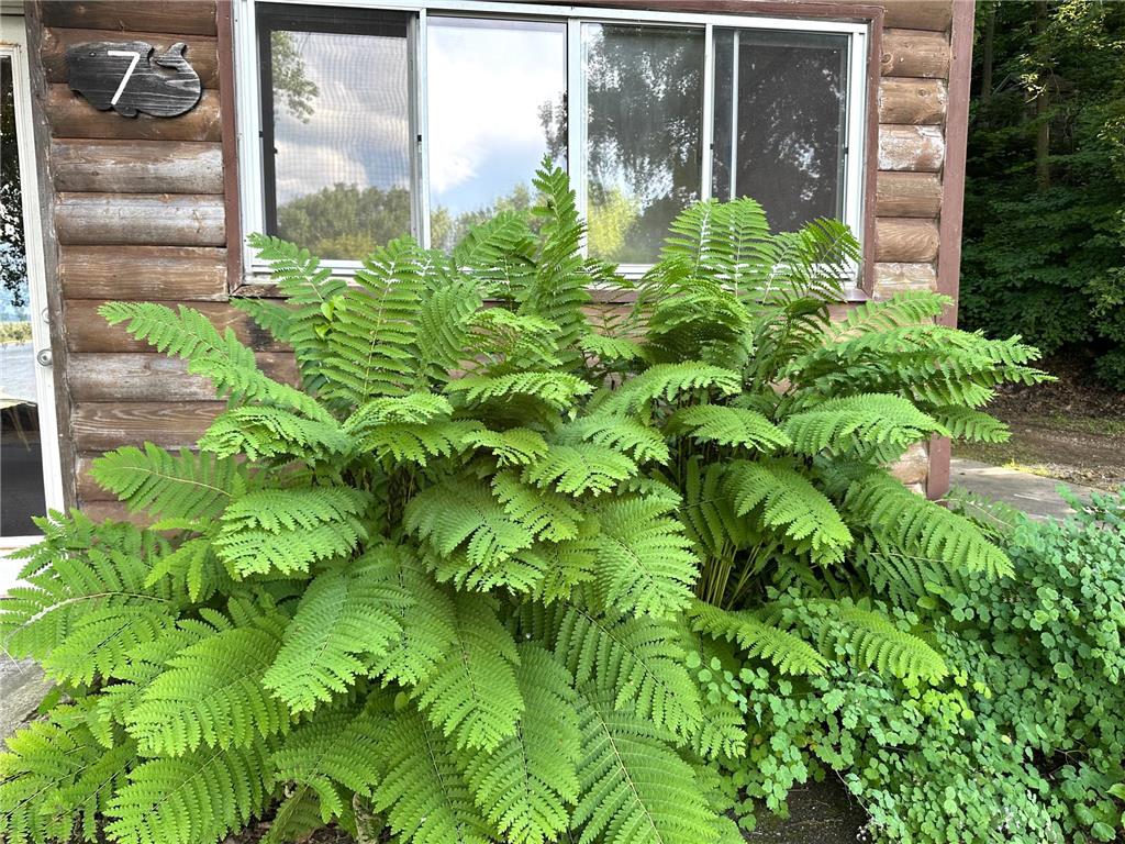 71009 Highway 61 Lake City MN 55041 - PEPIN 7096907 image24