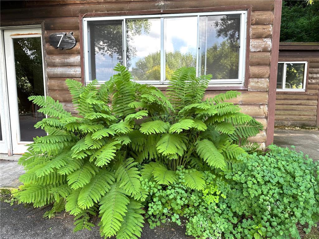 71009 Highway 61 Lake City MN 55041 - PEPIN 7096907 image25