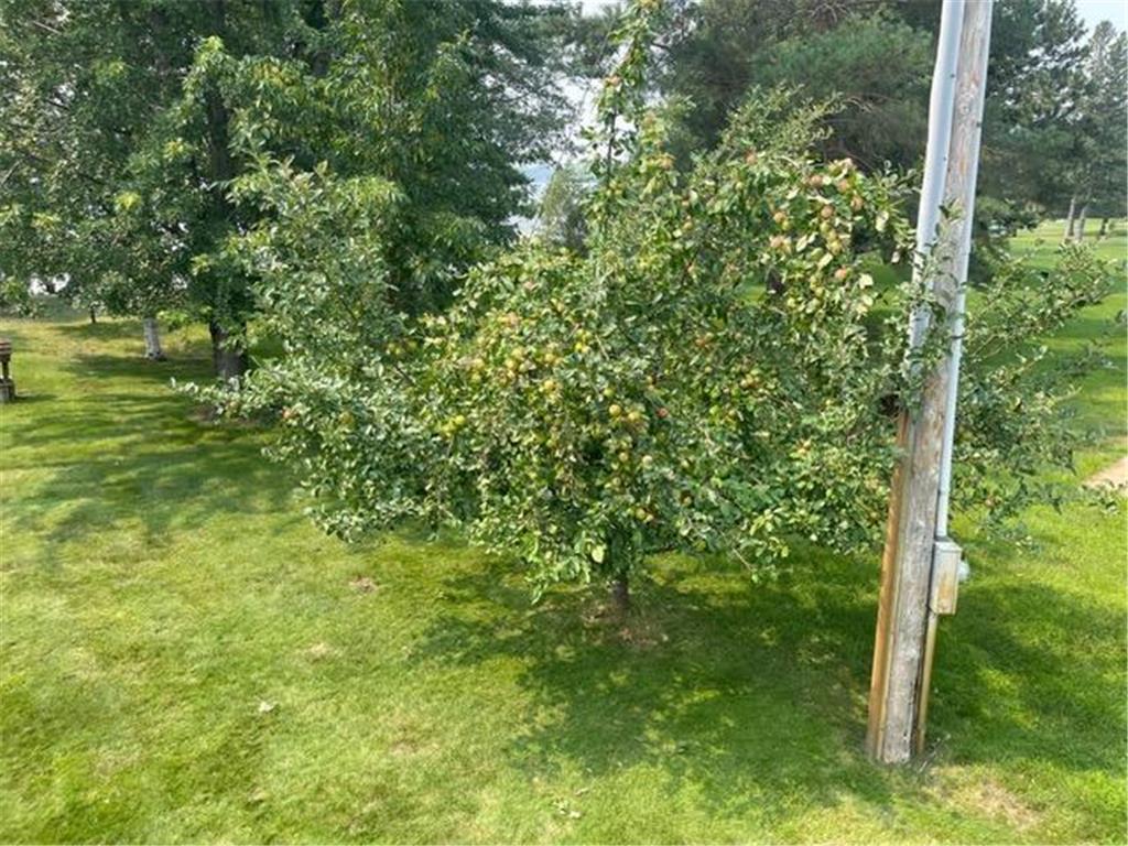 7101 Browns Lane Brainerd MN 56401 - Wise 6770611 image41