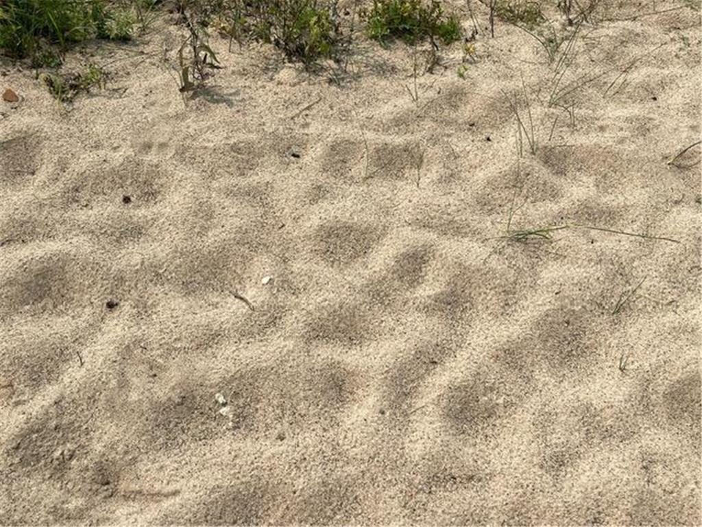 7101 Browns Lane Brainerd MN 56401 - Wise 6770611 image44