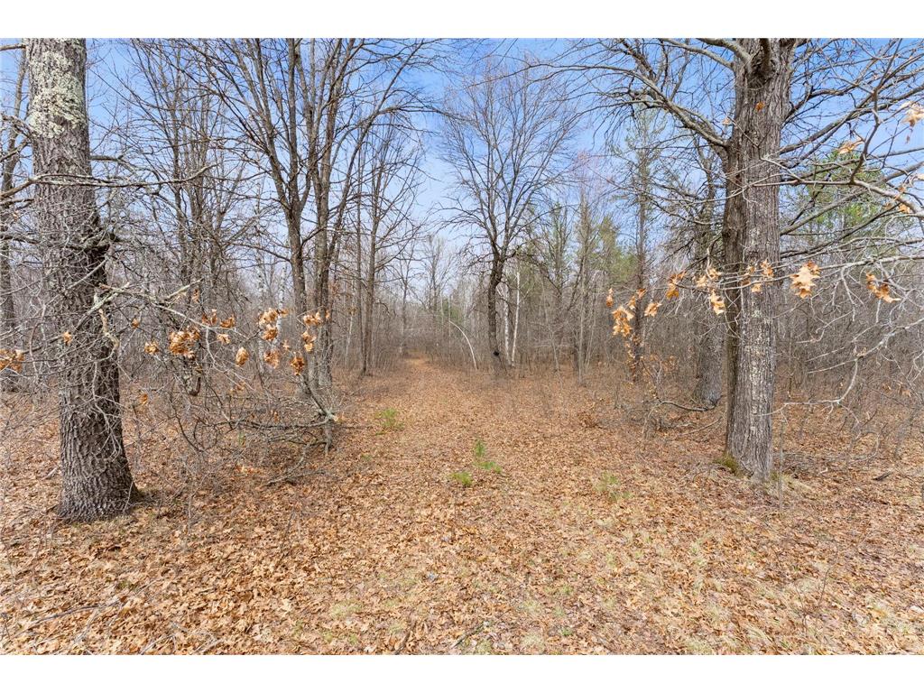 7108 Oakwood Parkway Meenon Twp WI 54893 7056815 image1