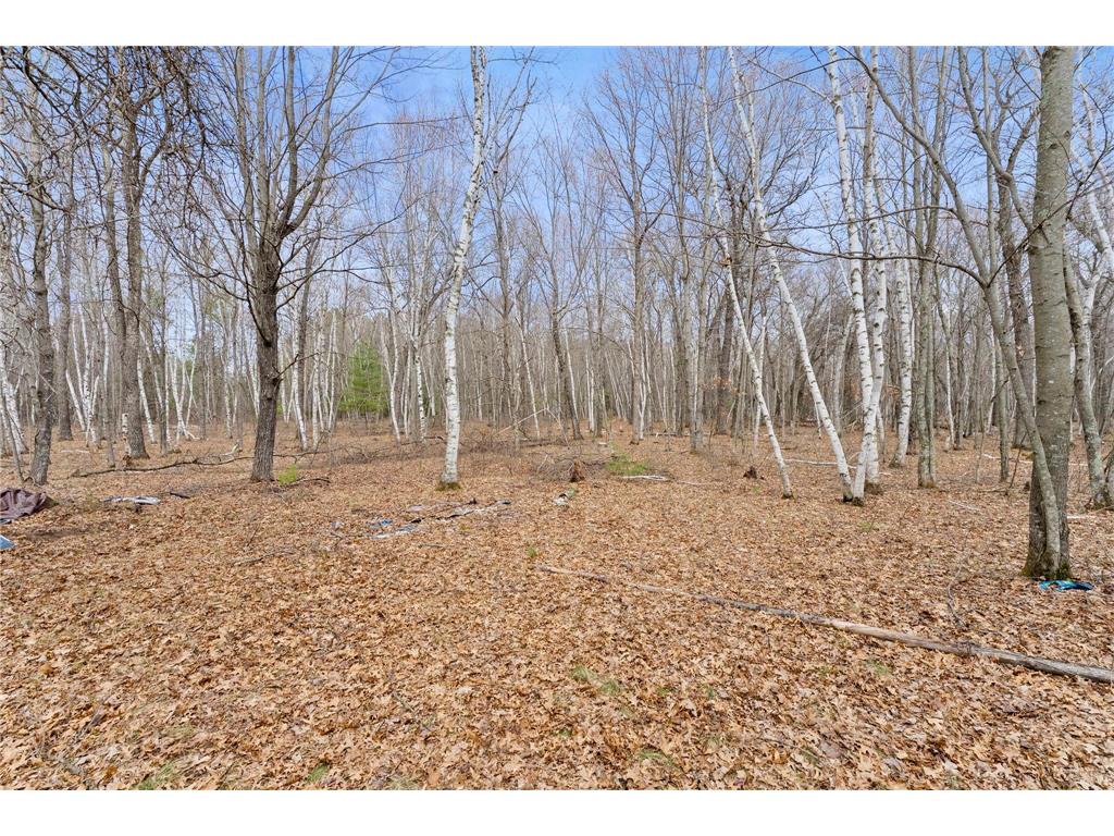 7108 Oakwood Parkway Meenon Twp WI 54893 7056815 image4