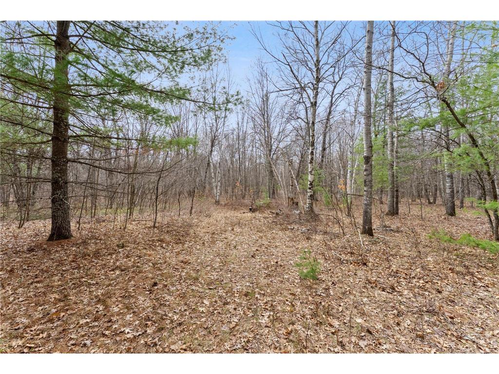 7108 Oakwood Parkway Meenon Twp WI 54893 7056815 image5
