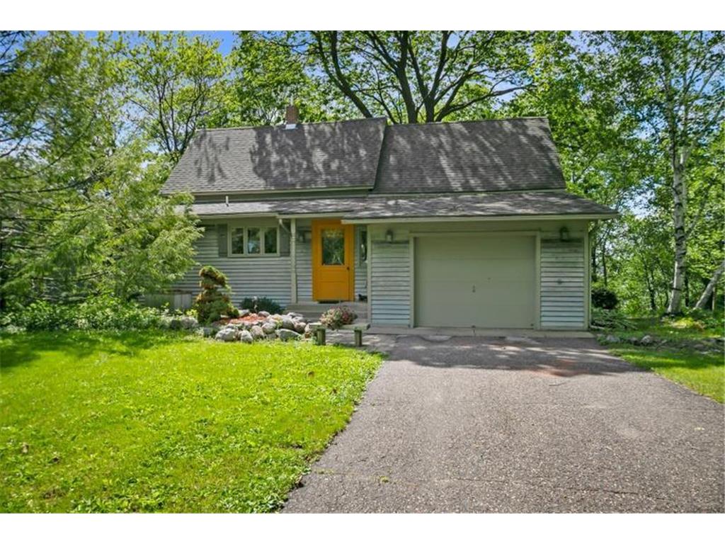 711 1st Avenue S, Buffalo, MN, 55313 MLS 6212948 Edina Realty