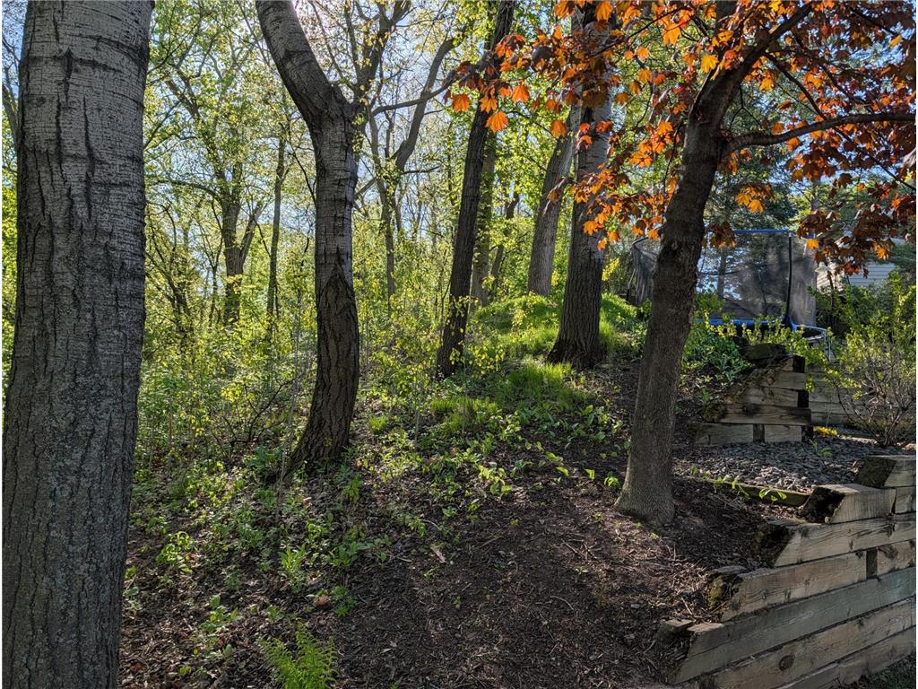 711 Bridle Ridge Road Eagan MN 55123 7071242 image42