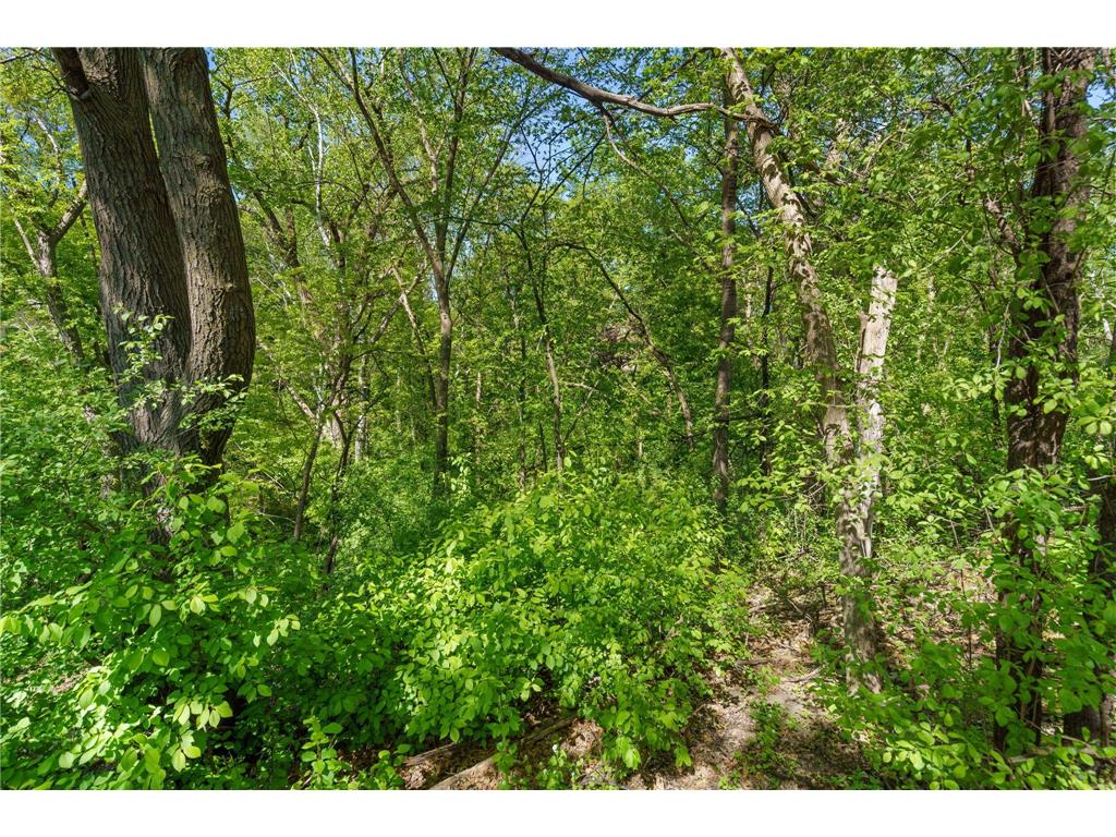 711 Bridle Ridge Road Eagan MN 55123 7071242 image44
