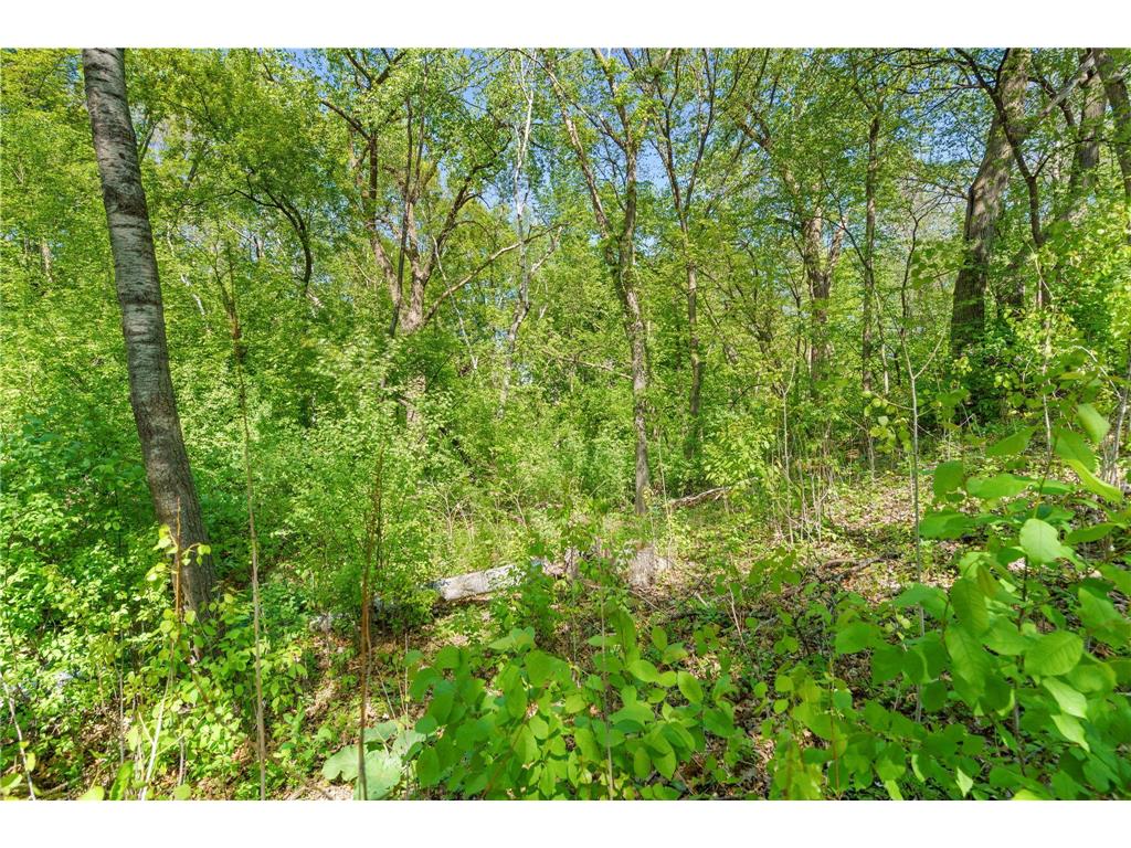 711 Bridle Ridge Road Eagan MN 55123 7071242 image49