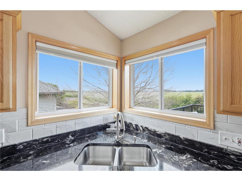 711 Williams Drive Hastings MN 55033 7109403 image11