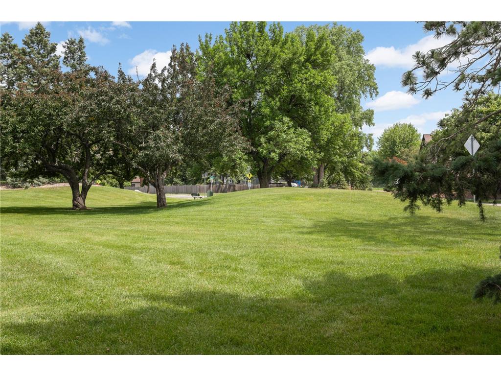 7111 Robinwood Bay Woodbury MN 55125 7085806 image29