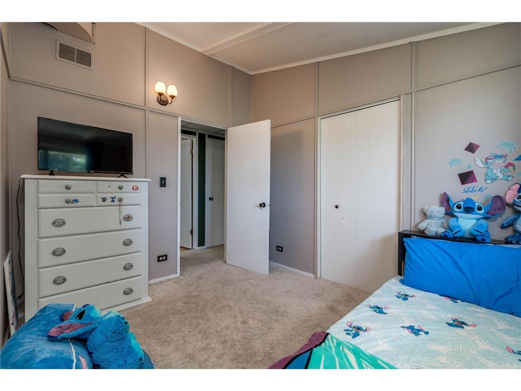 712 Pine Street Nicollet MN 56074 7107372 image30