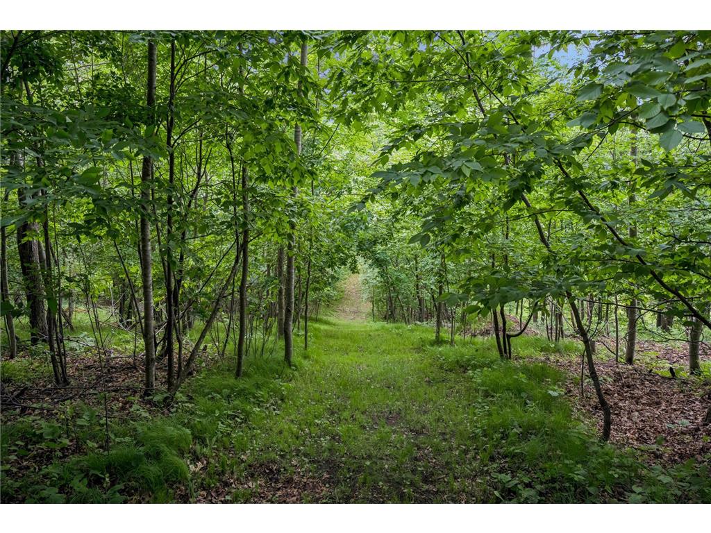 7125 Rainbow Lane Oakland WI 54830 - Fremstadt Lake 7040254 image31