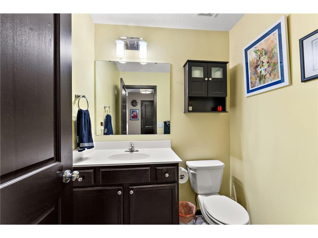 713 Overlook Drive Buffalo MN 55313 7065876 image28