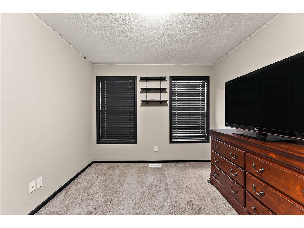 713 Overlook Drive Buffalo MN 55313 7065876 image30