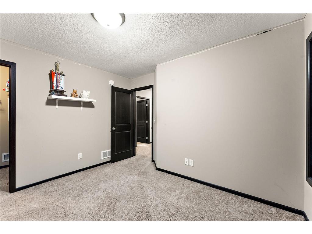 713 Overlook Drive Buffalo MN 55313 7065876 image31