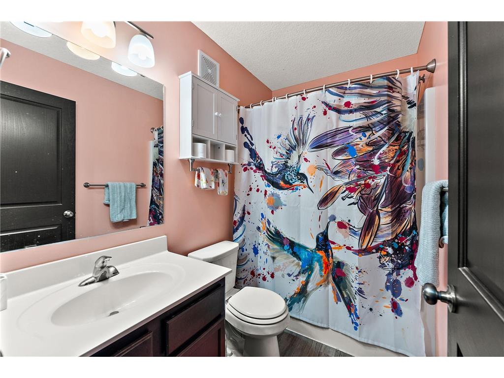713 Overlook Drive Buffalo MN 55313 7065876 image33