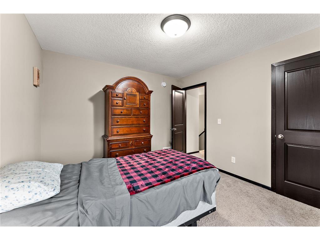 713 Overlook Drive Buffalo MN 55313 7065876 image34