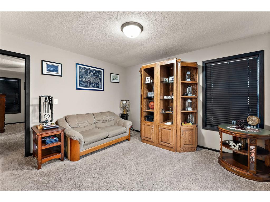 713 Overlook Drive Buffalo MN 55313 7065876 image38