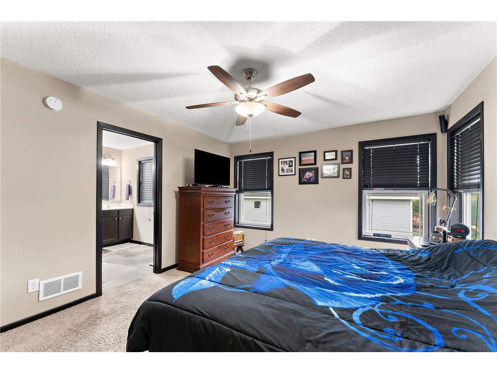 713 Overlook Drive Buffalo MN 55313 7065876 image43