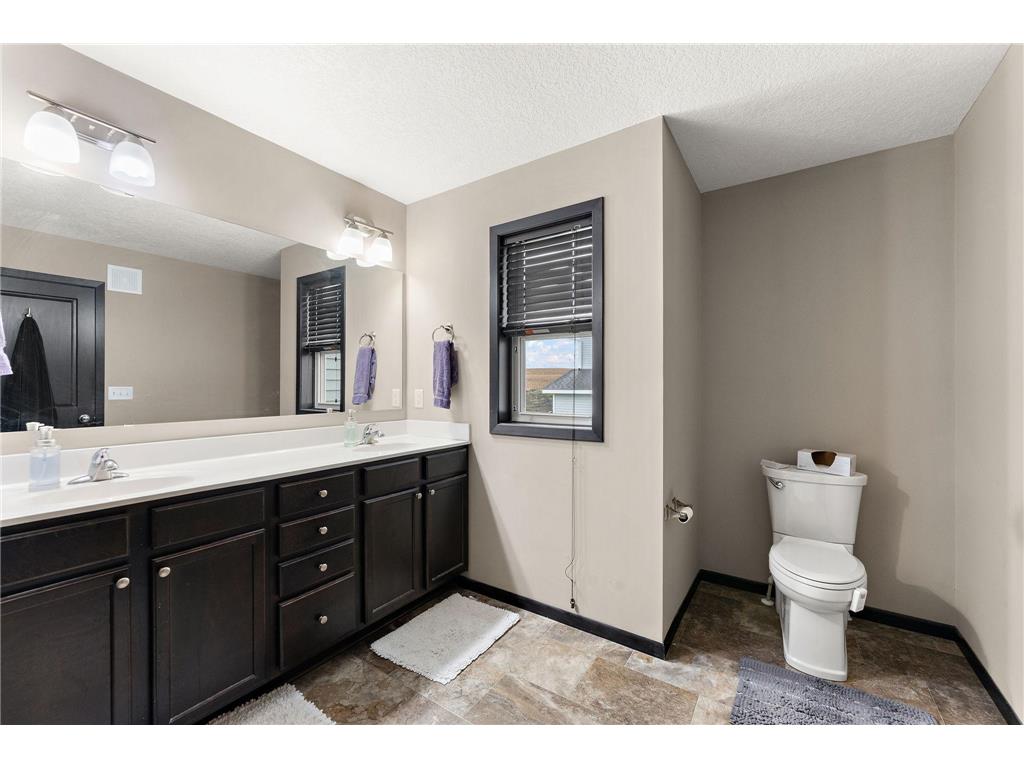 713 Overlook Drive Buffalo MN 55313 7065876 image46