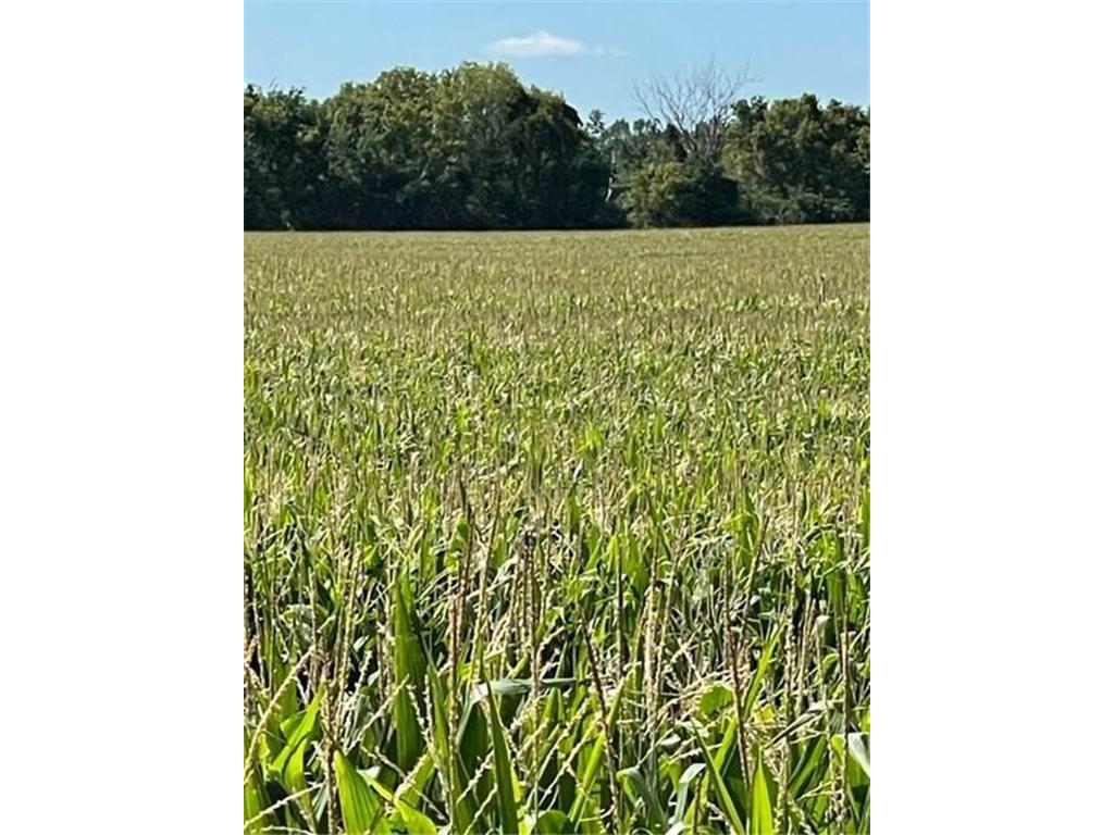 XXX Falcon Avenue Silver Lake MN 55381 6240875 image1