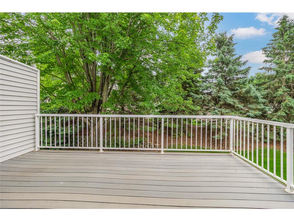 7137 Newbury Road Woodbury MN 55125 7087926 image49