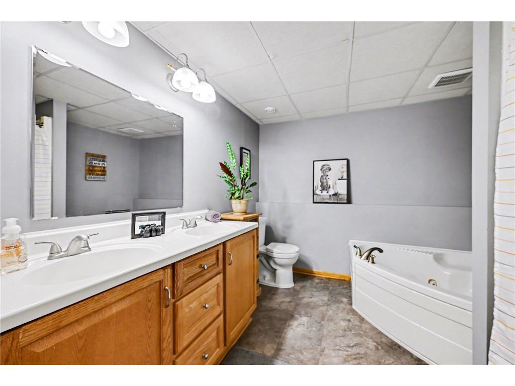 7141 Jocelyn Court S Cottage Grove MN 55016 7062924 image20