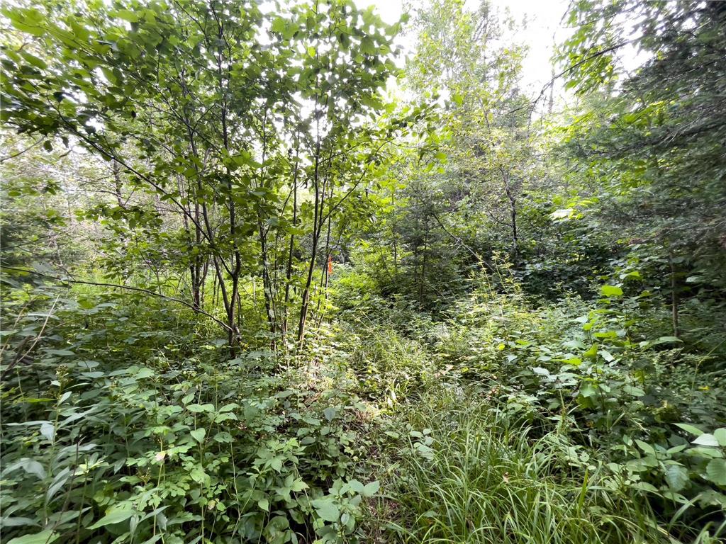 7143 Highway 1 Beaver Bay Twp MN 55603 - Baptism River 7067035 image41